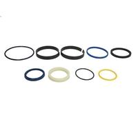 Kit di riparazione cilindro idraulico ANAC MAKINA 991-10142-AN