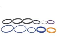 Kit di riparazione cilindro idraulico ANAC MAKINA 991-20027-AN