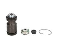 Kit di riparazione, cilindro maestro della frizione VALEO 2500234