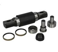 Kit di riparazione, cuscinetto reggispinta frizione SMILE per TGL I 4.58 2005-
