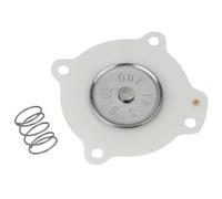 Kit di riparazione del diaframma 1SET Compatibile con C113443 C113444 SS304 Tavola 3 4 pollici 1 pollice per le parti utensili per utensili da giardino del rasaerba da tosaerba(C113444)