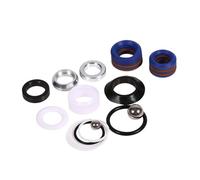 Kit di Riparazione della Pompa a Spruzzo Professionale per Ultra 390 795 1095 3900 5900 | Componenti in Acciaio Inossidabile e Silicone | Kit di Sostituzione Facile da Usare (249123) (248213)