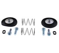 Separatore carburante 46-4029 ALL BALLS