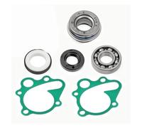 Kit Di Riparazione E Guarnizione Della Pompa Dell'acqua Per ATC250R, ATC 250R 1985-1986, TRX250R, Fourtrax 250 2X4 1986-1989 19217-657-023