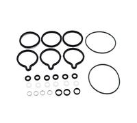 Kit di riparazione Funien, ricambio per Opel Diesel Bosch CP1, kit di riparazione O-ring pompa carburante, alta pressione