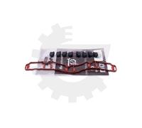 Kit di Riparazione,Modulo Collettore Aspirazione Skv per Motore VAG 2.0 TSI TFSI