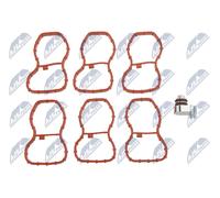 Kit Di Riparazione NTY BKS-BM-023, Modulo Collettore D'Immissione Per BMW