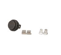 Kit di riparazione per cricchetto HANS 1/4 pollici, 2101 Serie