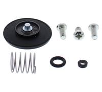 Kit Di Riparazione Per Pompa Di Accelerazione All Balls 46-3005