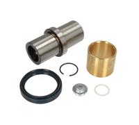 Kit di riparazione, perno dello snodo dello sterzo AUGER 53187
