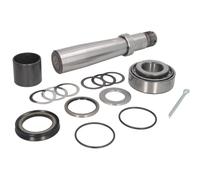 Kit di riparazione, perno dello snodo dello sterzo C.E.I 198569