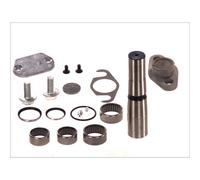 Kit di riparazione, perno dello snodo dello sterzo C.E.I 230056