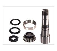 Kit di riparazione, perno dello snodo dello sterzo C.E.I 230077