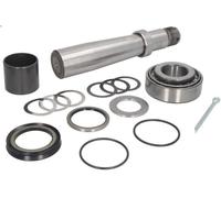 Kit di riparazione, perno di sterzo C.E.I 198.569 per VOLVO NL 9.6 1989-1992
