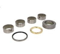 Kit di riparazione, perno di sterzo C.E.I 230.025 per ATEGO 6.374 1998-2004