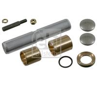FEBI BILSTEIN 06319 Kit riparazione, Perno fuso a snodo
