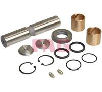 FAG 830 0008 30 Kit riparazione, Perno fuso a snodo