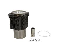 Kit di riparazione, pistone/canna del cilindro KOLBENSCHMIDT 91395962
