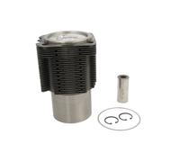 Kit di riparazione, pistone/canna del cilindro KOLBENSCHMIDT 92834961