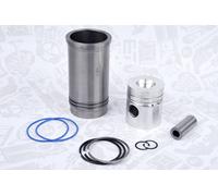 Kit di Riparazione Pistone/Fodera Cilindro 59010156