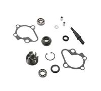 Kit di riparazione pompa acqua 19215-MA1-000 19217-TL1-300 compatibile con Fiddle IV 125 E5 Jet 14 Symphony ST 125i E4