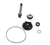 Kit di riparazione pompa acqua compatibile con Fuoco 500 e Nexus 500 500cc 4T 100110450