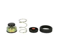 Kit di riparazione, pompa del carburante ENGITECH ENT110345