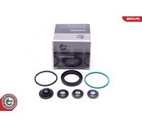 ESEN SKV 96SKV933 Kit riparazione, Pompa carburante