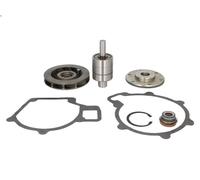 Kit di riparazione, pompa dell'acqua DT SPARE PARTS 3.90603 per M90 4.58 1994-