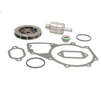 Kit di riparazione, pompa dell'acqua DT SPARE PARTS 4.90042 NG 9.57 1973-1996