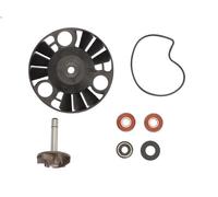 Kit di riparazione, pompa dell'acqua RMS RMS 10 011 0070