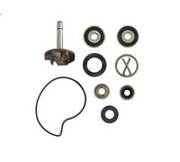 Kit di riparazione, pompa dell'acqua RMS RMS 10 011 0220
