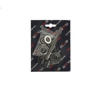 Kit di riparazione, pompa dell'acqua RMS RMS 10 011 0280