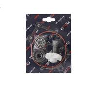 Kit di riparazione, pompa dell'acqua RMS RMS 10 011 0350