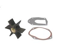 Kit di riparazione, pompa dell'acqua SIERRA 118-3187