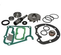 Kit di riparazione, pompa dell'acqua THERMOTEC WP-ME111RK per NG 5.96 1973-1996
