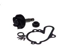 Kit di riparazione, pompa dell'acqua VICMA 6216