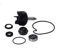 Kit di riparazione, pompa dell'acqua VICMA 8000