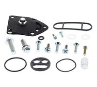 Kit riparazione iniettore 60-1131 ALL BALLS