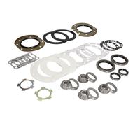 BTA H32003BTA Kit riparazione, Perno oscillazione