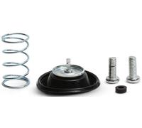 Kit Di Riparazione Valvola Di Chiusura Ad Aria All Balls 46-4041