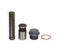 Kit di riparazione, valvola di ritenzione della pressione dell'olio DT Spare Parts 3.90400