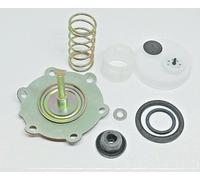Kit Di Ristrutturazione/Riparazione Pompa Di Benzina BCD SR109 NUOVO