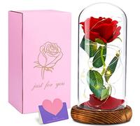 Kit di Rose La Bella e la Bestia Rosa EternaRose of Beauty and the Beast Magic Rose Magic Gift con luci a LED San Valentino Decorazione festa della mamma Anniversario di matrimonio Festa della Donna