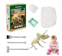 Kit di scavo dei dinosauri - puzzle scheletri, giocattolo di scavo, set di archeologia | Modello fossile 3D con ossa di dinosauro per imparare la scienza a casa e in classe