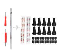 Kit di strumenti per l’installazione dello stelo della valvola del pneumatico, 54 pezzi, set di rimozione e installazione dello stelo della valvola con steli TR412 e attrezzi per