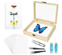 Kit di strumenti per la realizzazione di esemplari di insetti (spilli per insetti, scatola per ombre per insetti, bacheca per insetti, carta pressante per ali, pinzette, forbici), esposizione per