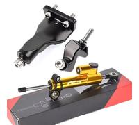 Kit Di Supporto Per Ammortizzatore Sterzo Anteriore Per Moto, Stabilizzatore Base, Staffa Montaggio Per Per YAM&AHA R25 R3 2021-2024(Style L)
