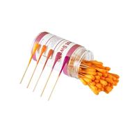 Kit di tamponi per il test del piombo - Kit di test per vernice al piombo (30 pezzi)