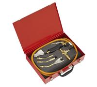 Kit Di Torcia A Propano 7 Pezzi | LPT7 Sealey Nuovo